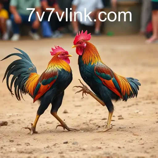 Exploring the World of Sabong Games: The Rise of 7V7V